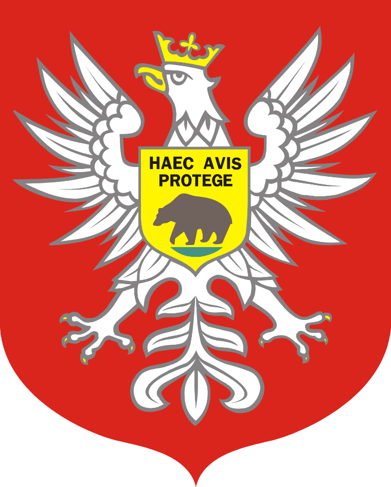 Miasto Ostrołęka